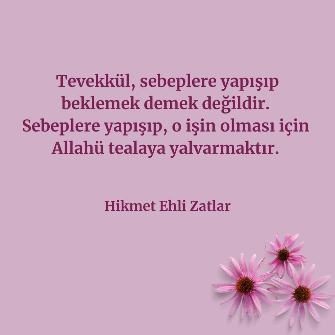 Hikmet Ehli Zatlar (1)